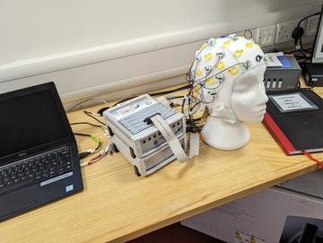 EEG cap display